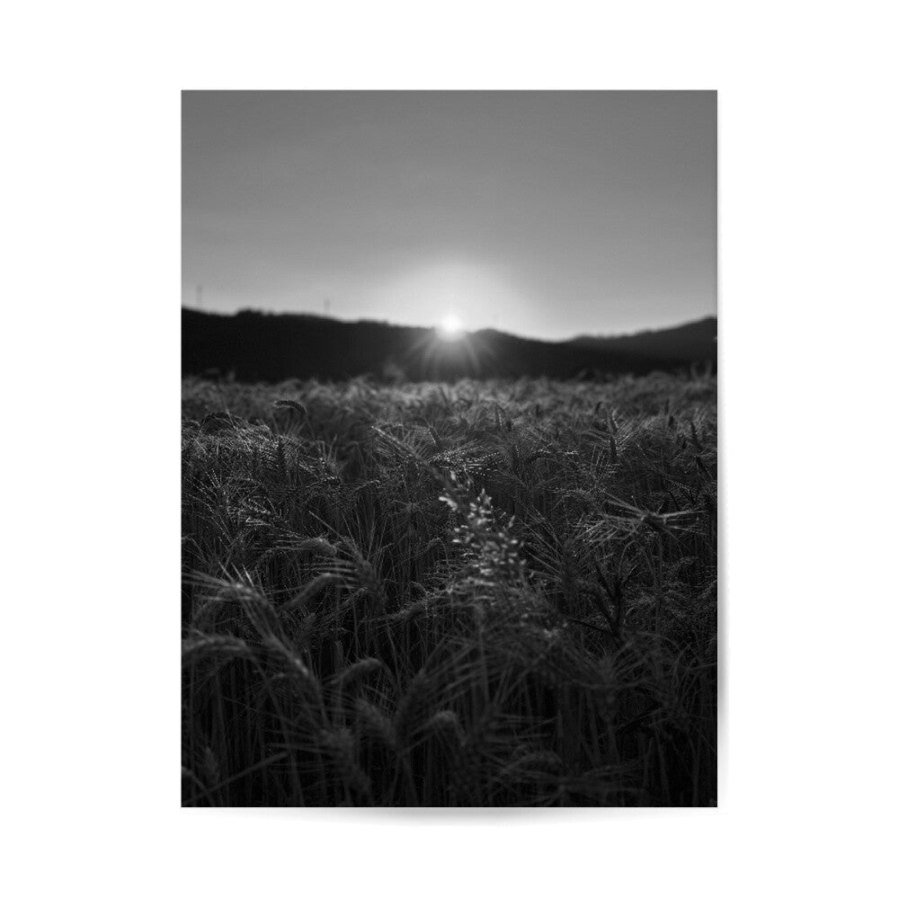 Image for size: 30cm x 40cm
