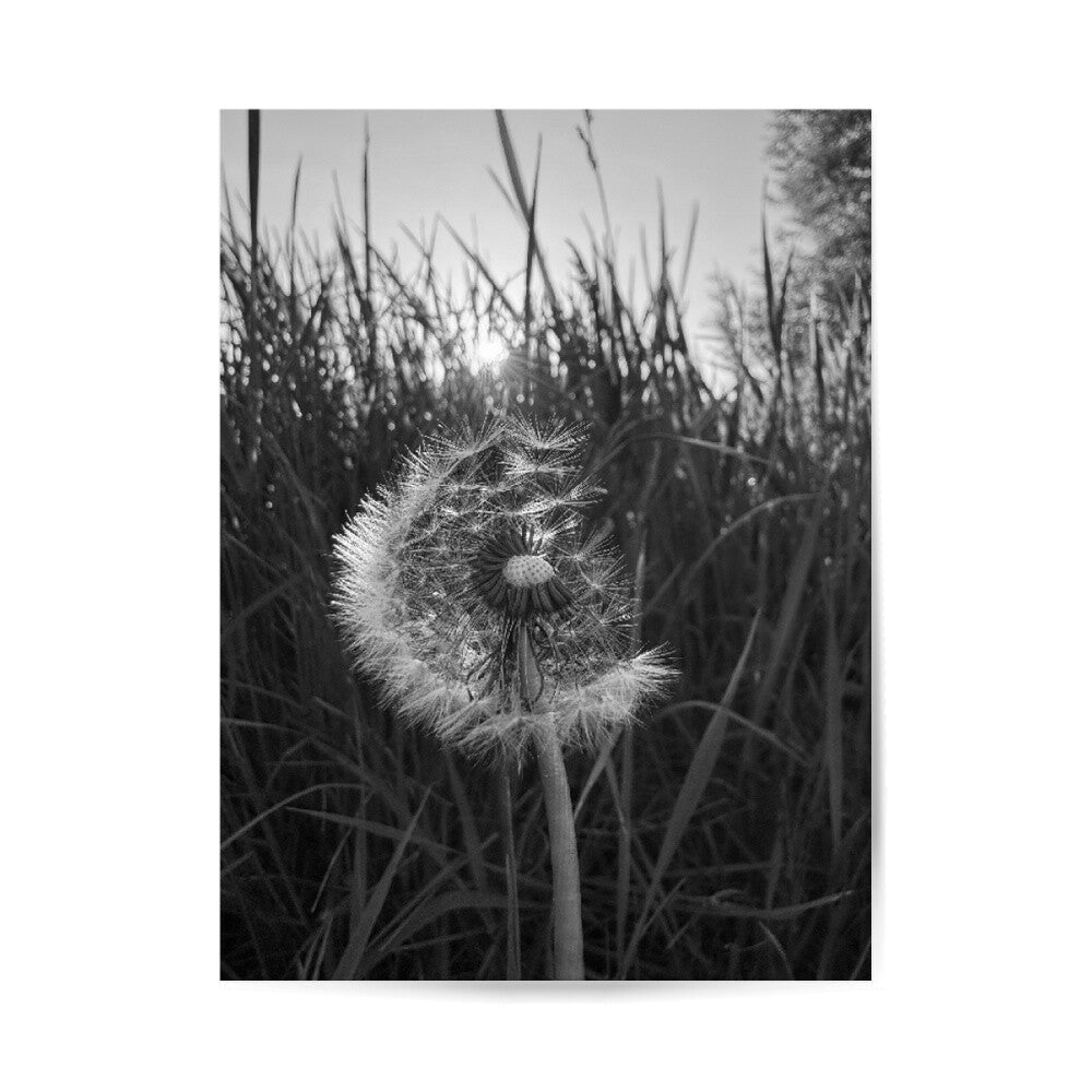 Image for size: 30cm x 40cm