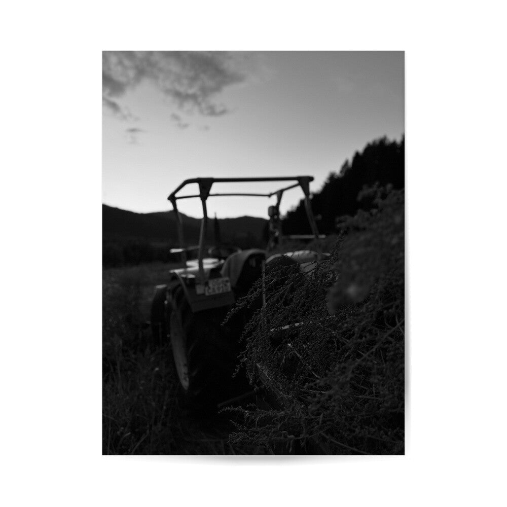Image for size: 30cm x 40cm