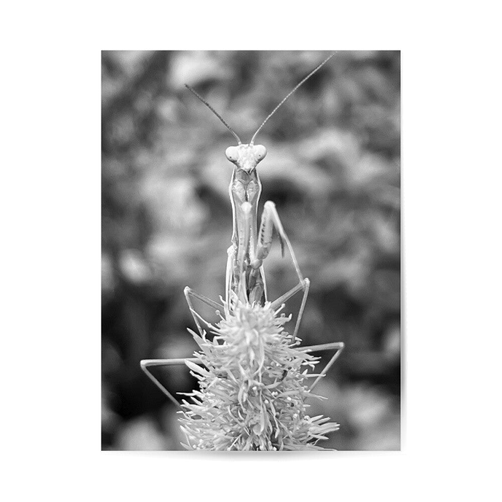 Image for size: 30cm x 40cm